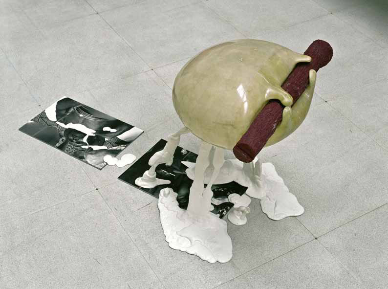 Powerfull Colour. 2008/fiberglass, steel, aluminum, black and white photographs